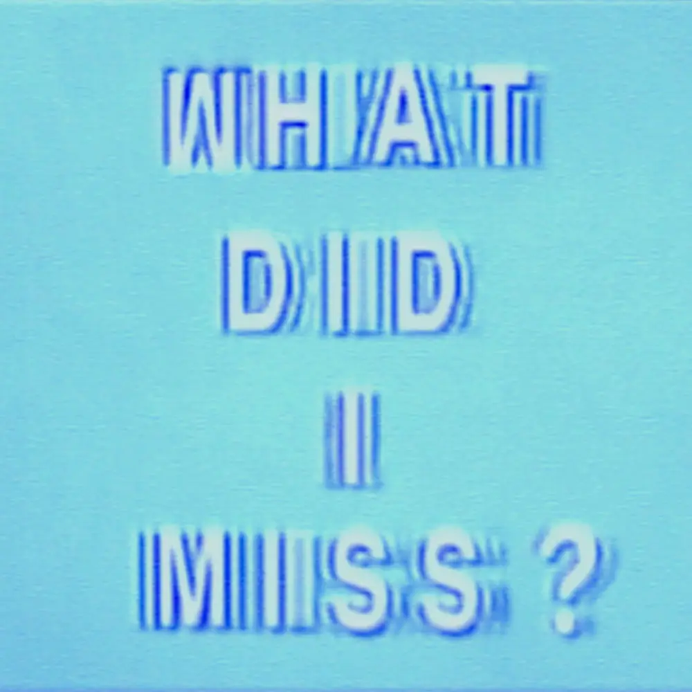 What Did I Miss ? – Drake