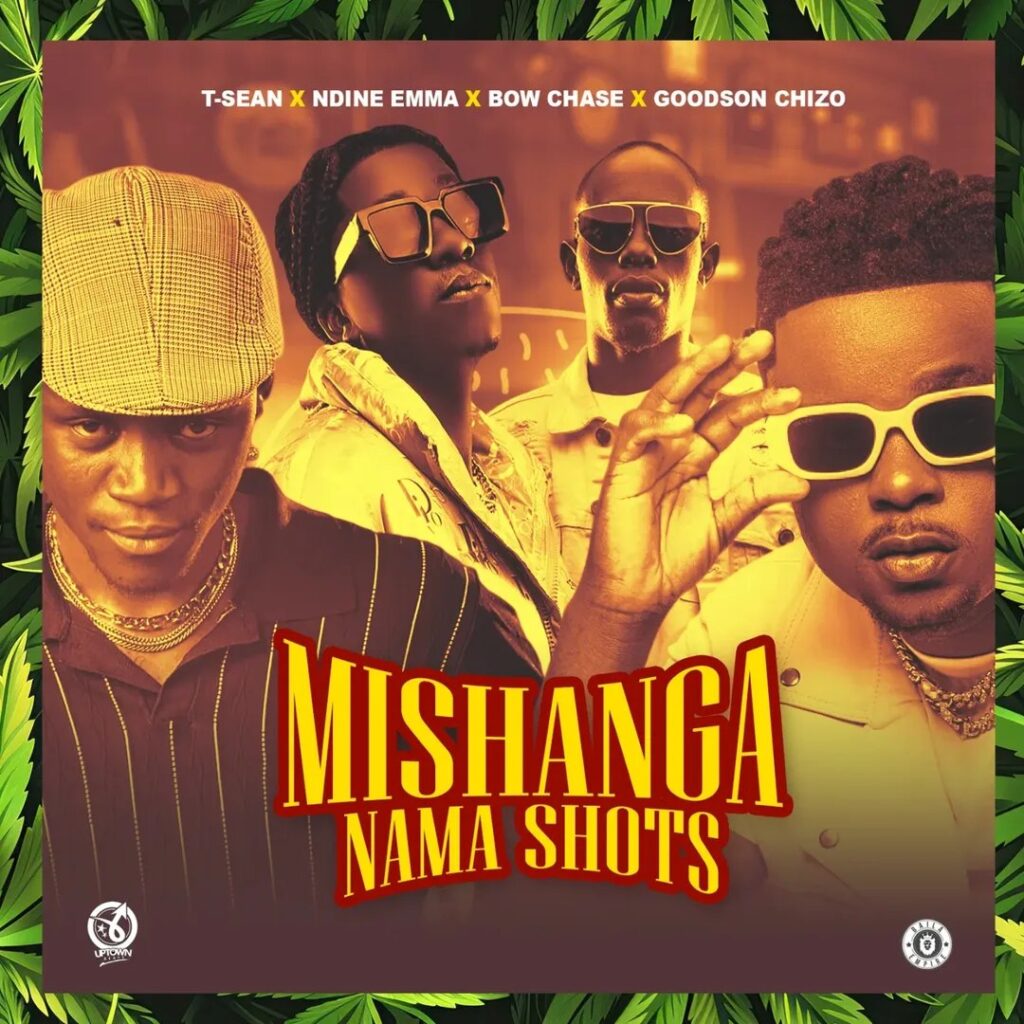 Mishanga Nama Shot / Bad idea – T Sean ft. Ndine Emma, Bow Chase & Goodson Chizo (Official Music Video)